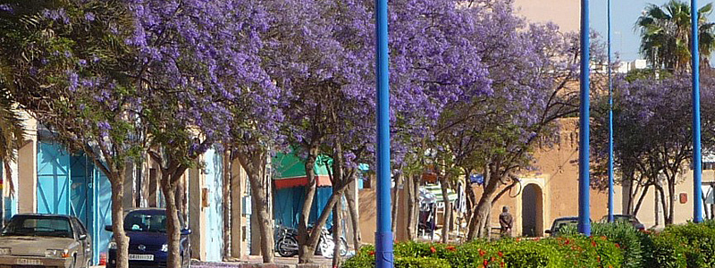 Excursion Tiznit 4h 70 euro